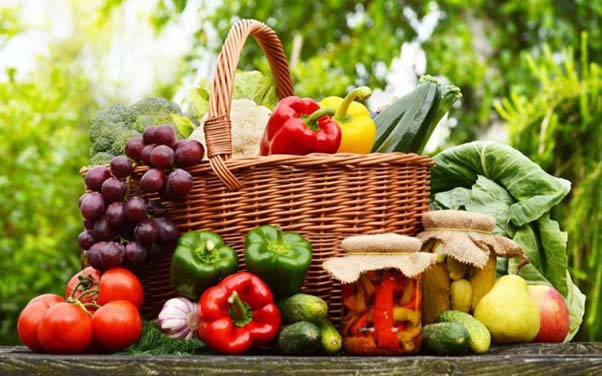 Rau sạch Đà Lạt không chỉ giàu dinh dưỡng mà còn an toàn cho người dùng