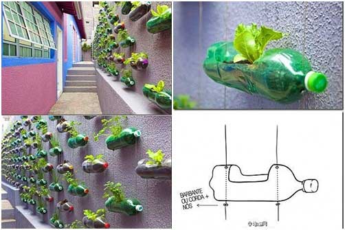 Mô hình trồng rau sạch bằng chai nhựa độc đáo, tiết kiệm diện tích