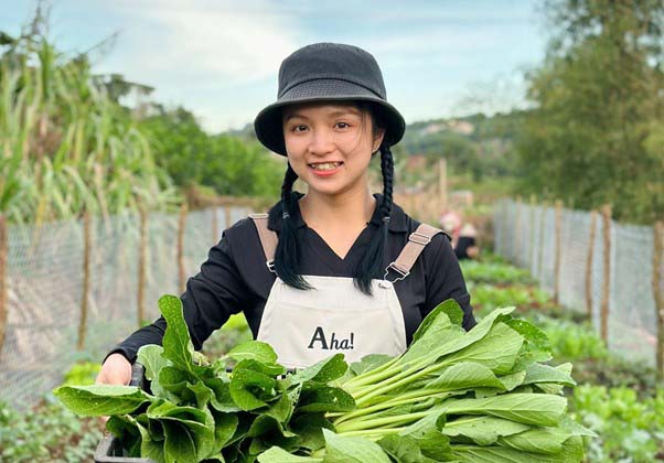 Khi được trồng theo phương pháp 5 không, rau sẽ đảm bảo an toàn