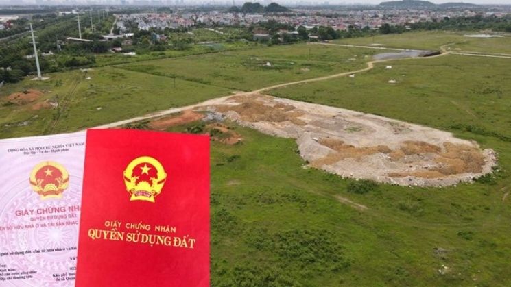 Mẹo để nhận đền bù cao nhất & đúng luật 2025