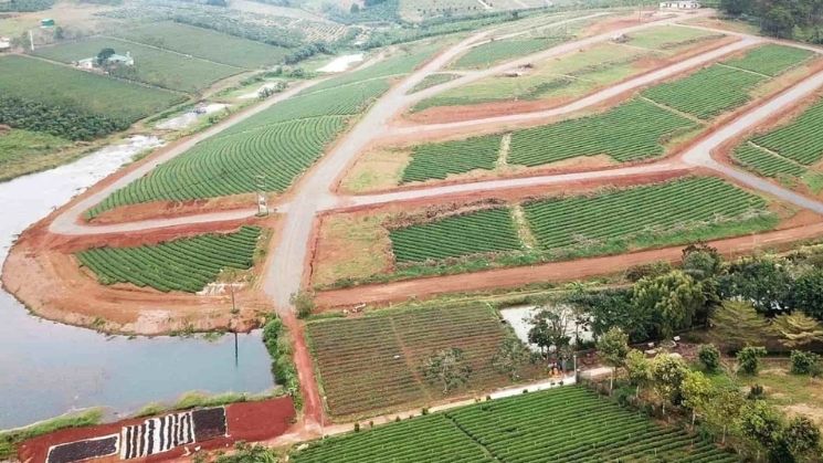 Điều kiện được bồi thường đất trồng cây lâu năm 